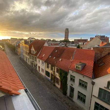Igel Sjoeborre Wismar