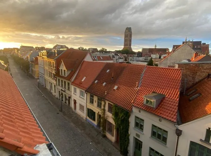 Igel Sjöborre Wißmar